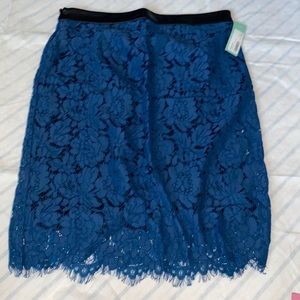 Stitch fix Brixon ivy lace skirt